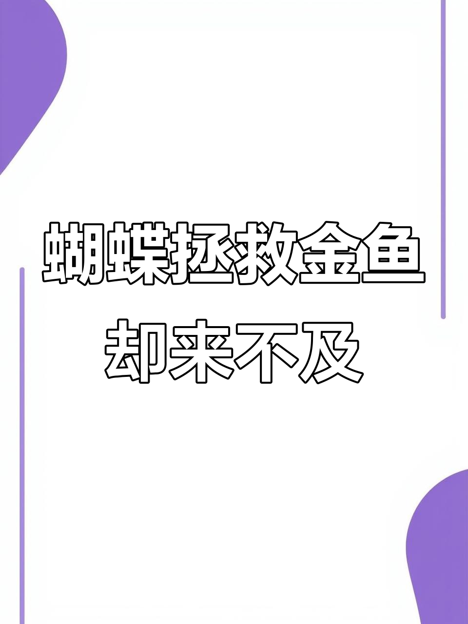 蝴蝶与鲸鱼的悲剧爱情:一场无法挽回的深情