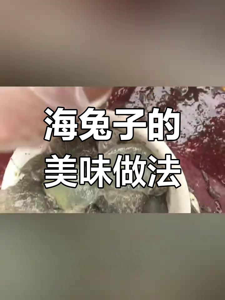 爆炒海兔子,营养堪比海参