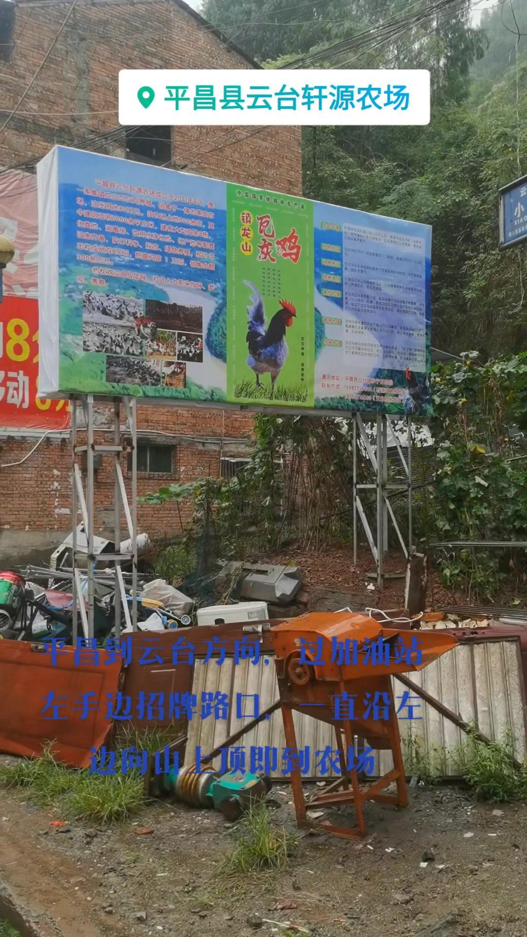 新农人计划2022返乡创业 乡村振兴dou行动 乡村守护人 轩源种养农场 轩源瓦灰鸡 地理