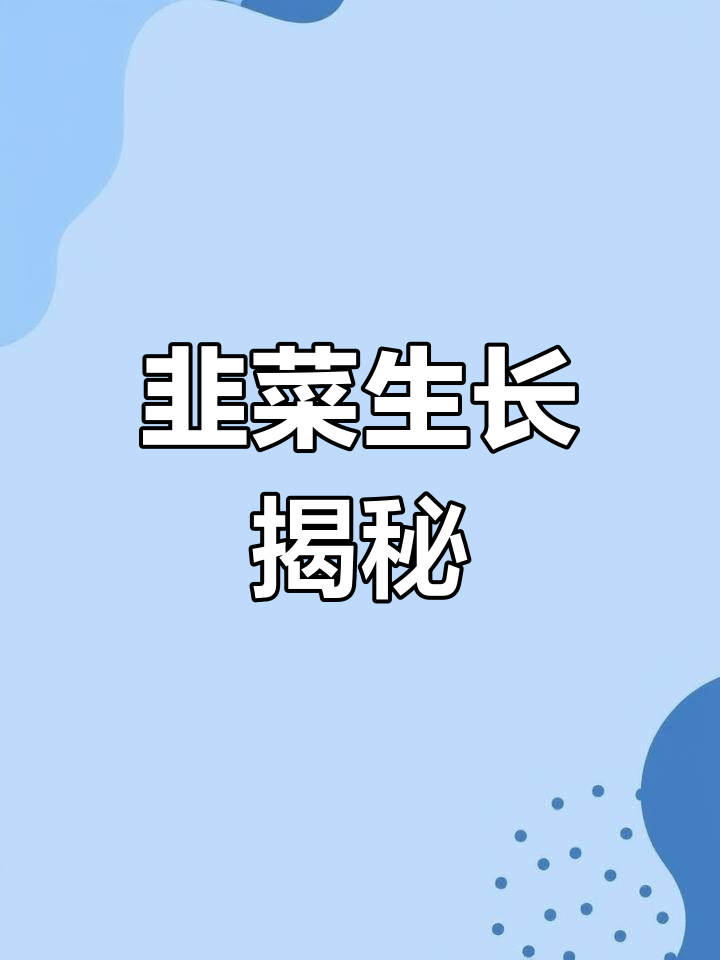 韭菜的生长与采摘全过程,了解农村种植技巧