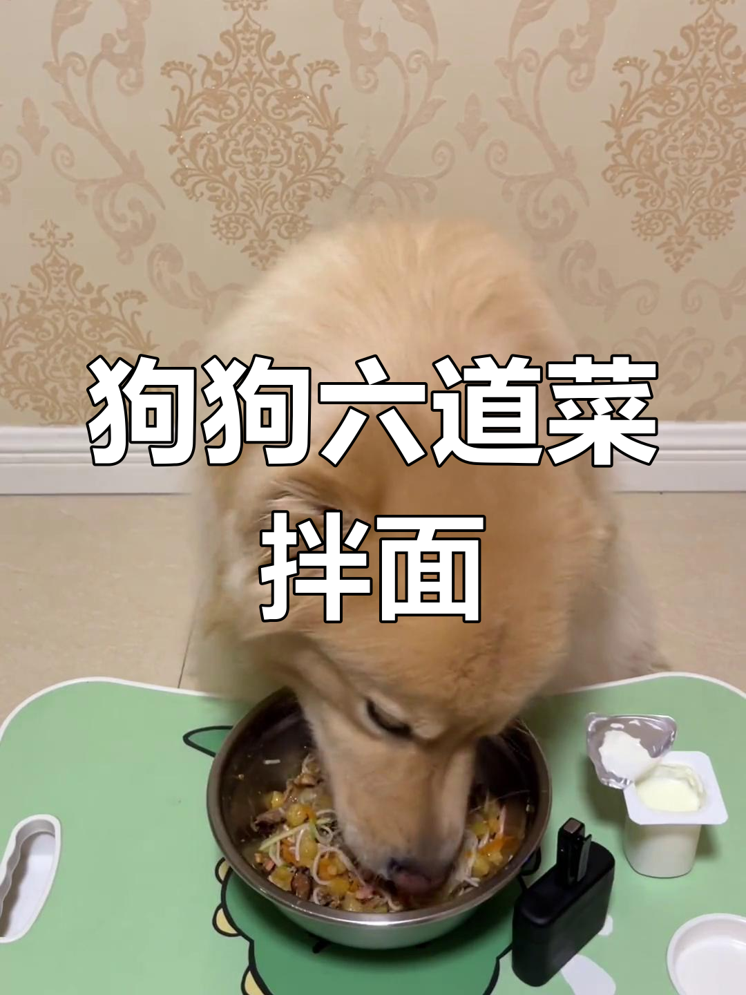 狗狗的豪华打卤面,六个配菜让干饭更香!