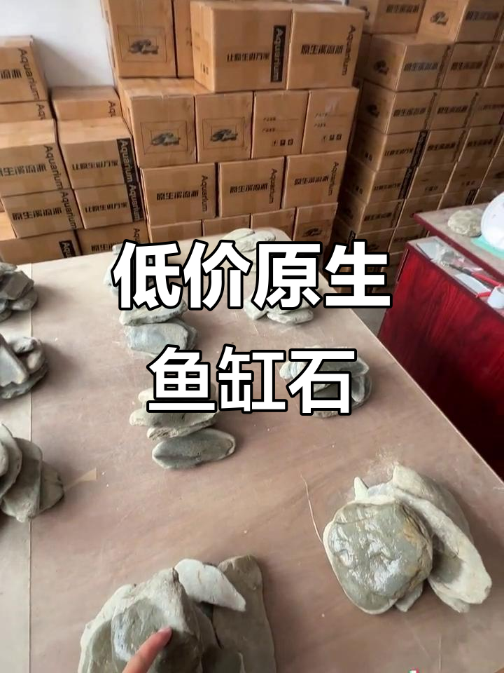 鱼缸造景石头也能网购,价格实惠又美观