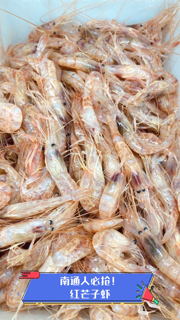 南通人必抢!红芒子虾