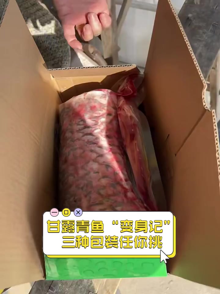 甘露青鱼“变身记”,三种包装任你挑
