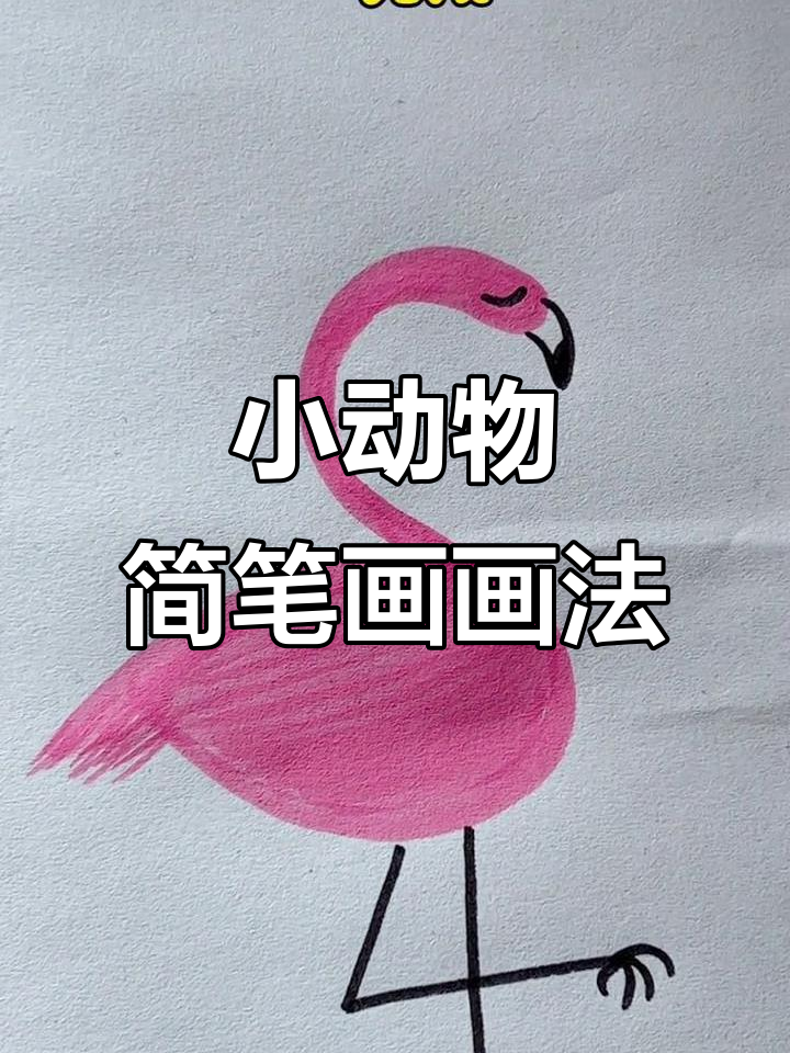 儿童简笔画:轻松画出小动物,步骤简单有趣