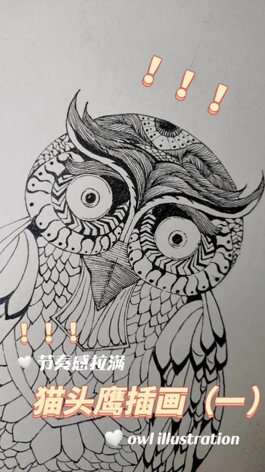 猫头鹰插画(一)