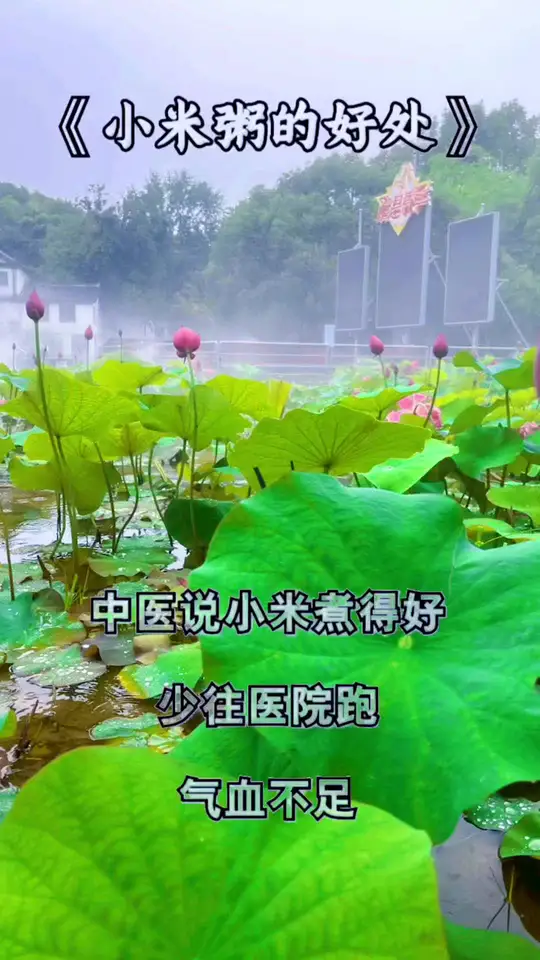 不可错过的美食，教你如何选择健康食品
