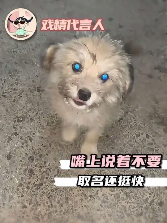 包子豆浆油条和茶叶蛋,现在还多了个大黑嘴