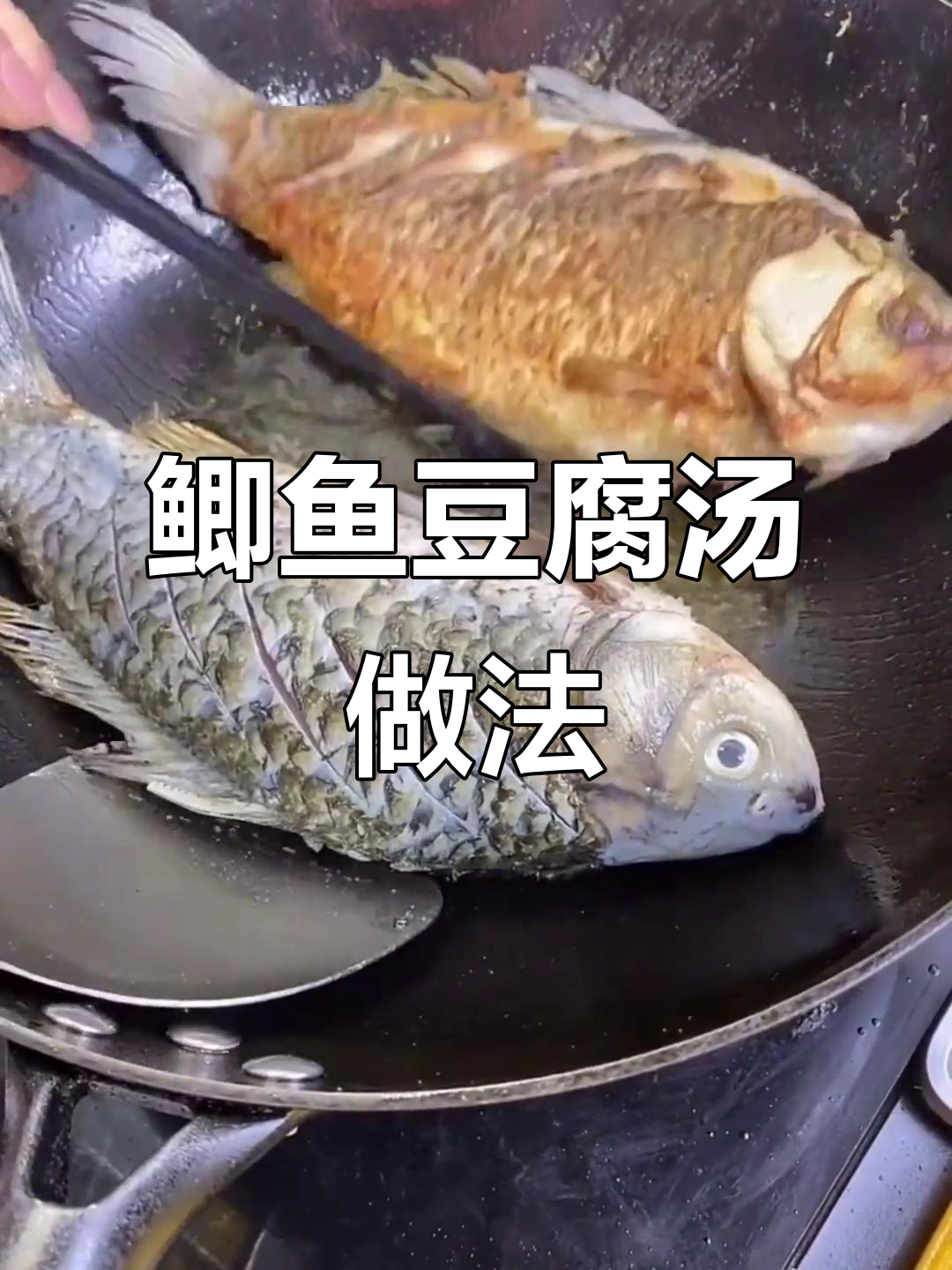 鲫鱼豆腐汤,教你做鲜美不腥的浓白汤