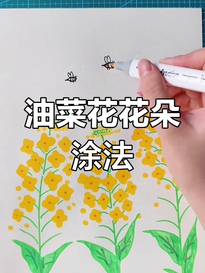 春天的油菜花与小蜜蜂,简单步骤教你画可爱花朵