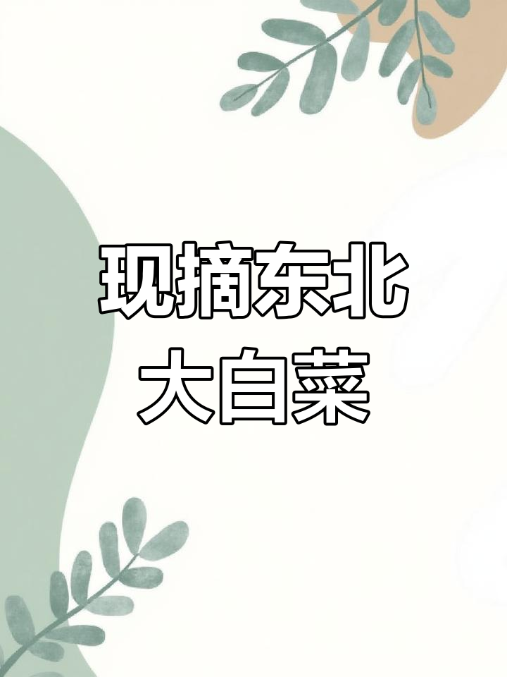东北大白菜叶子包饭,老人小孩都爱吃!