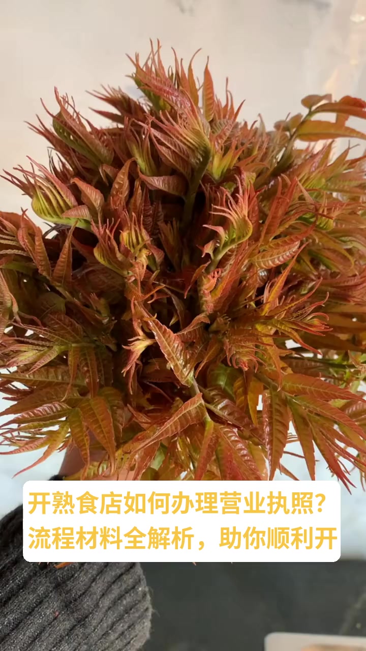 熟食店执照必填项目?