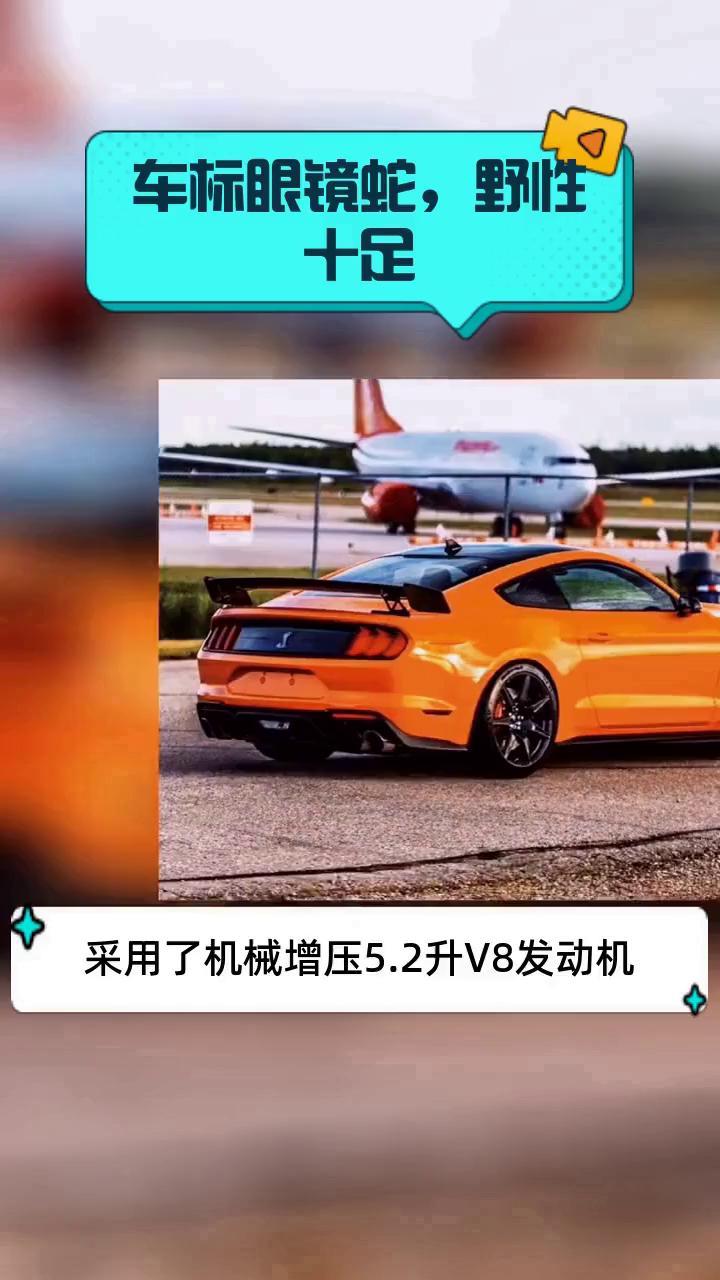 车标眼镜蛇,野性十足