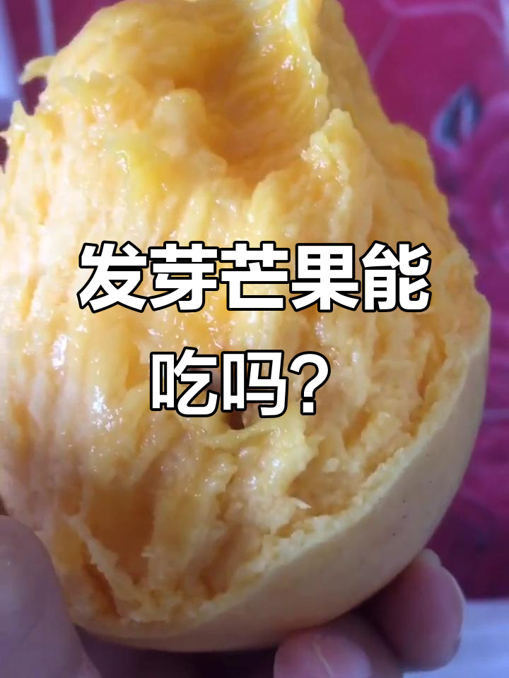 第一次吃到发芽的芒果,竟然是这样的口感!