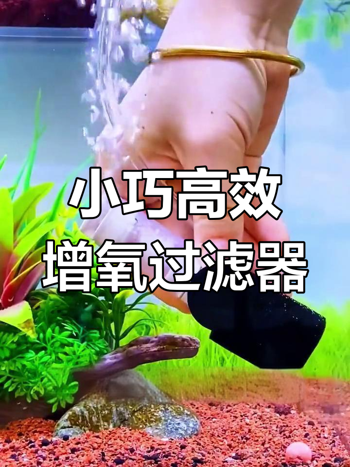 迷你增氧泵,三重过滤效果惊人,鱼缸水质大提升