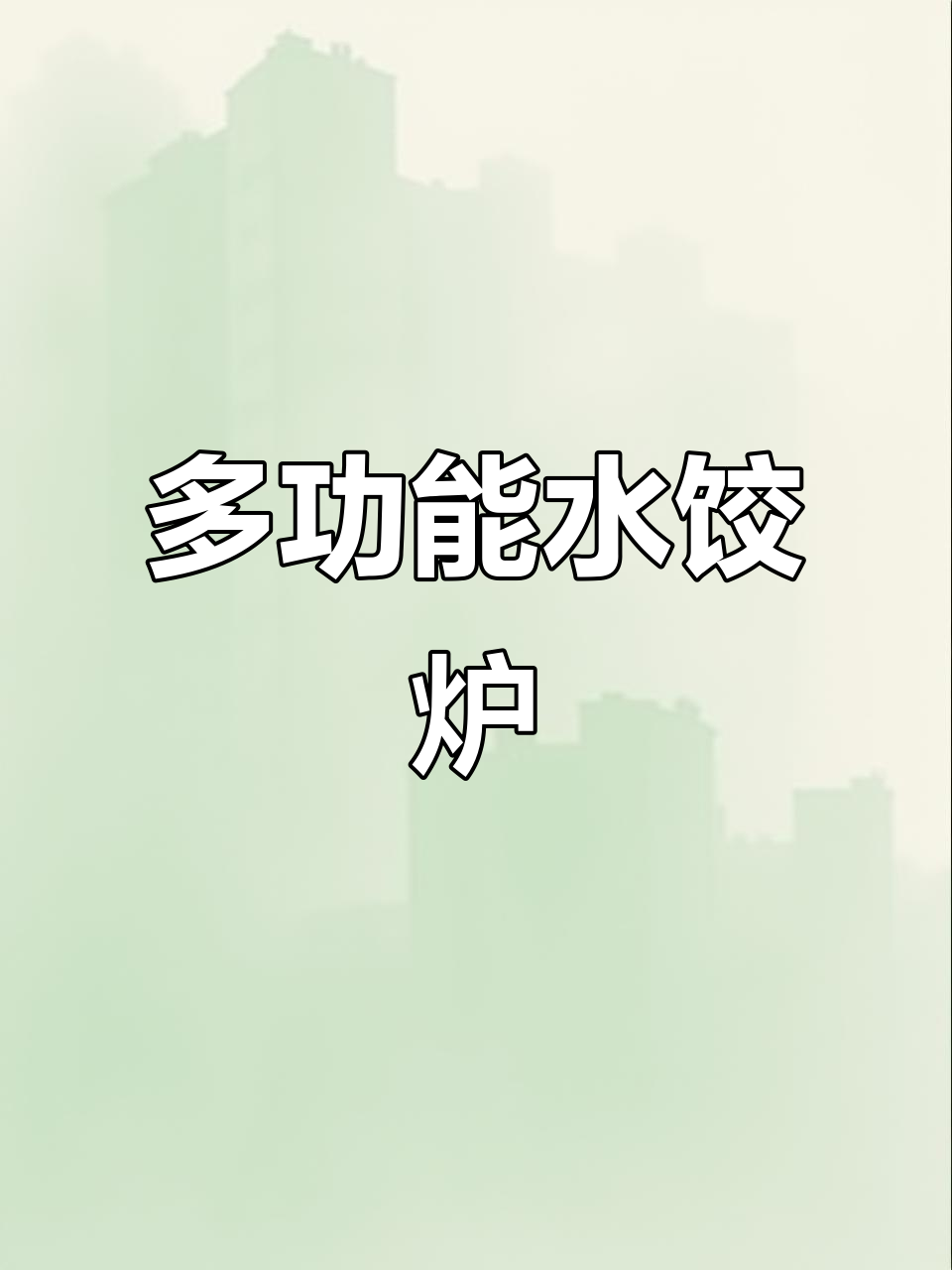 这款水饺炉加热迅速,一锅多用,煮多种食物轻松搞定