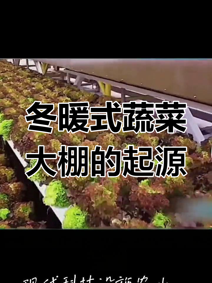 秦始皇如何发明冬季蔬菜大棚?