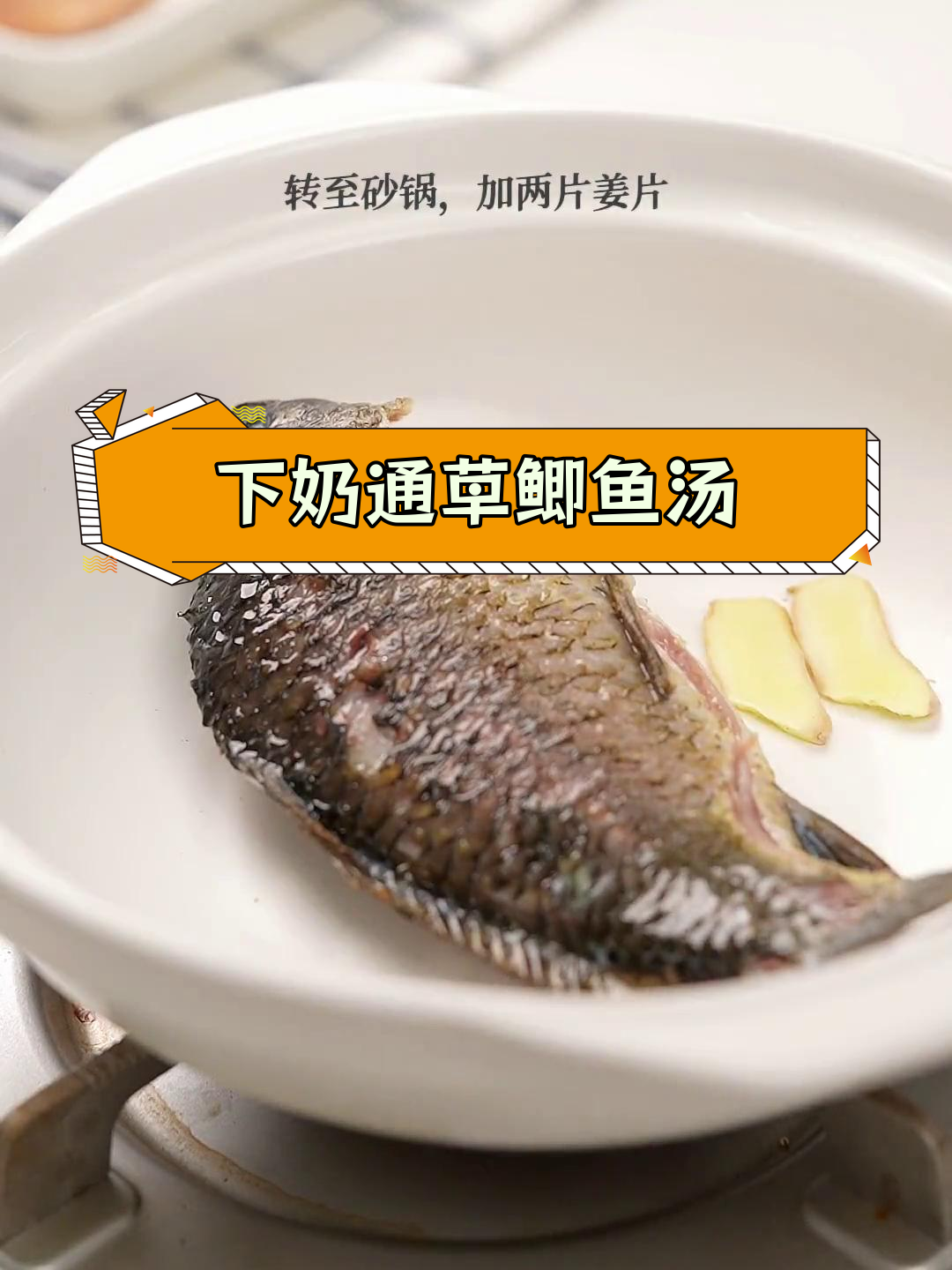 催乳汤助力母乳分泌,轻松追奶不慌