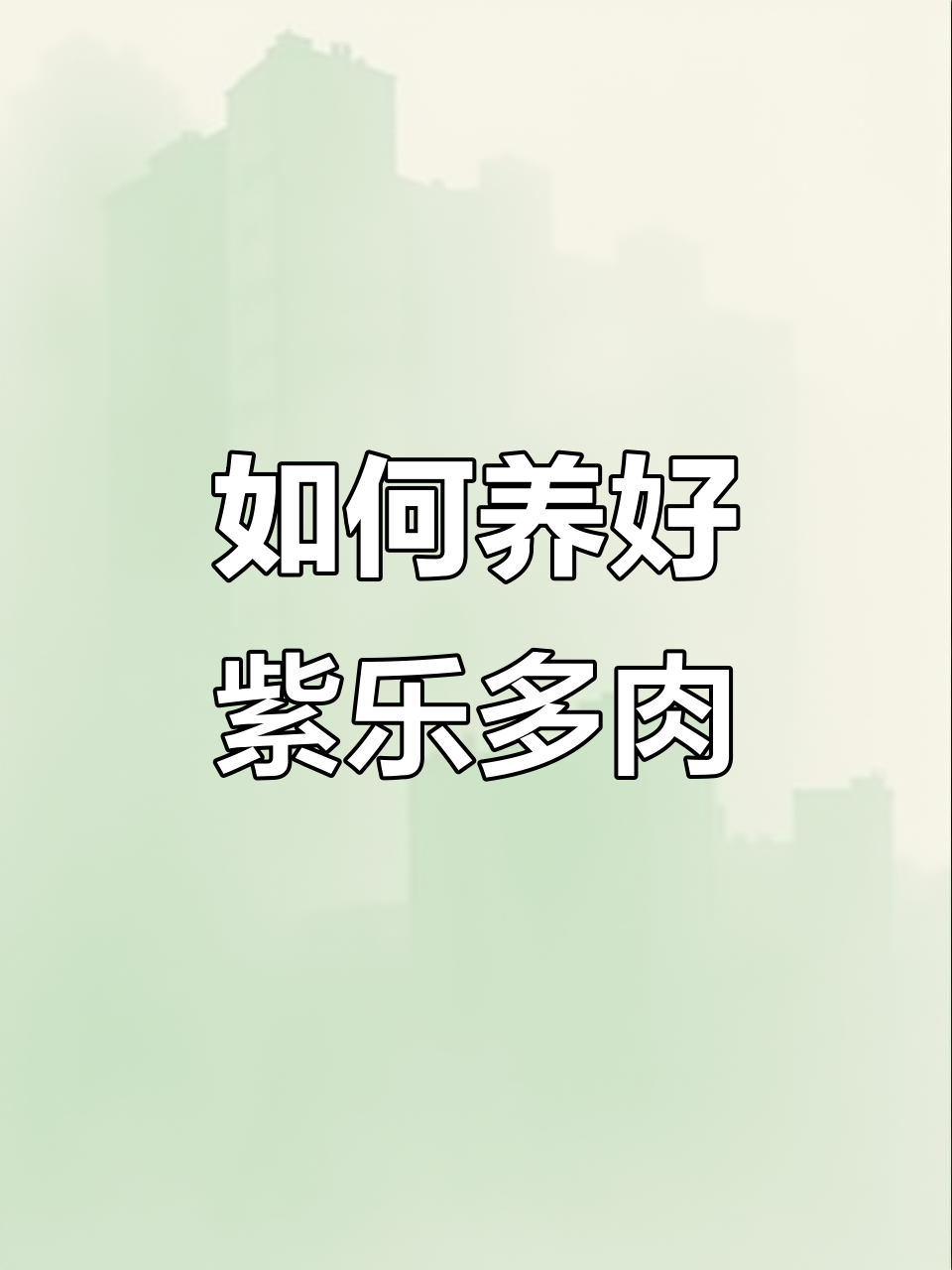 紫乐多肉养成老桩,爆盆秘诀大公开