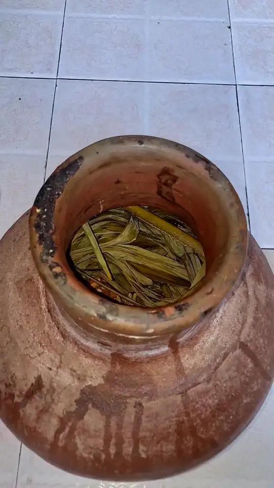 四川干咸菜 干豇豆 妈呀太香了 抓了咸干菜,把棕树叶装进去