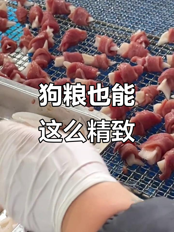 狗狗零食比人吃的好,脆骨鸭胸肉手工制作超有爱