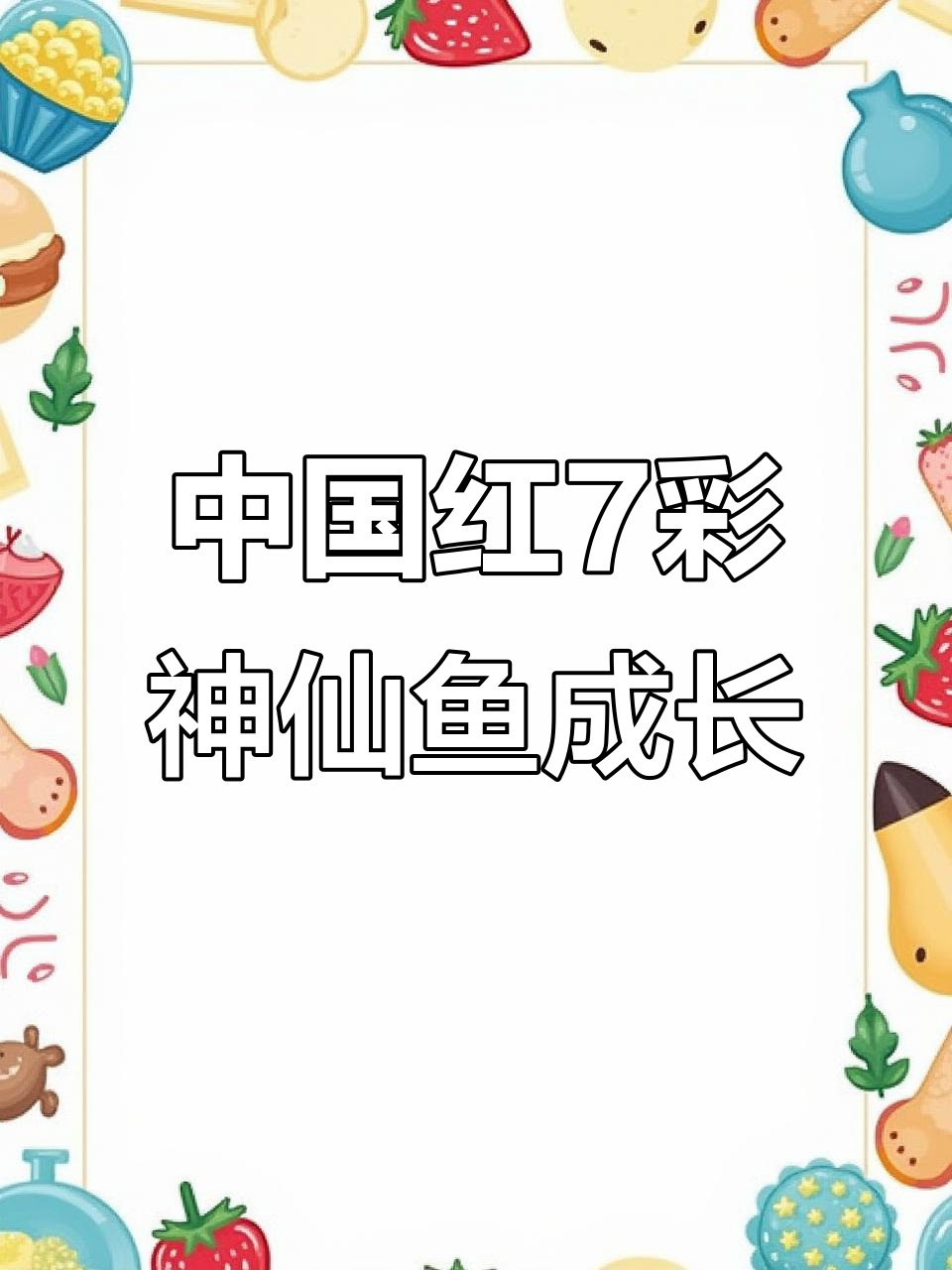2月9日中国红七彩神仙鱼60天成长揭秘