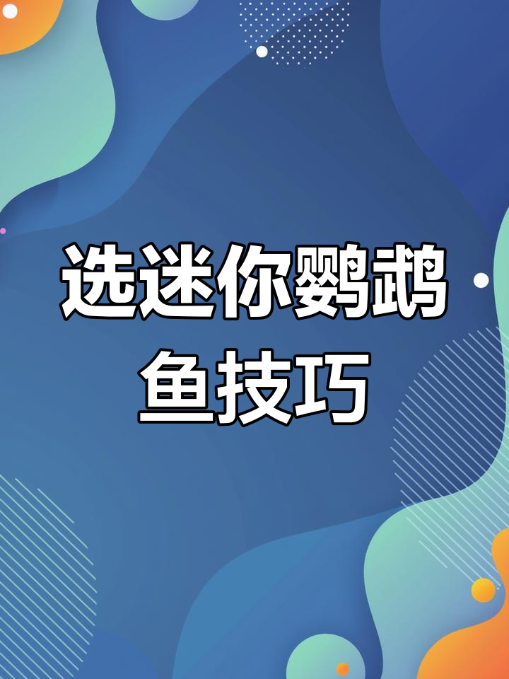 如何挑选迷你鹦鹉鱼配对?公母体型差异揭秘