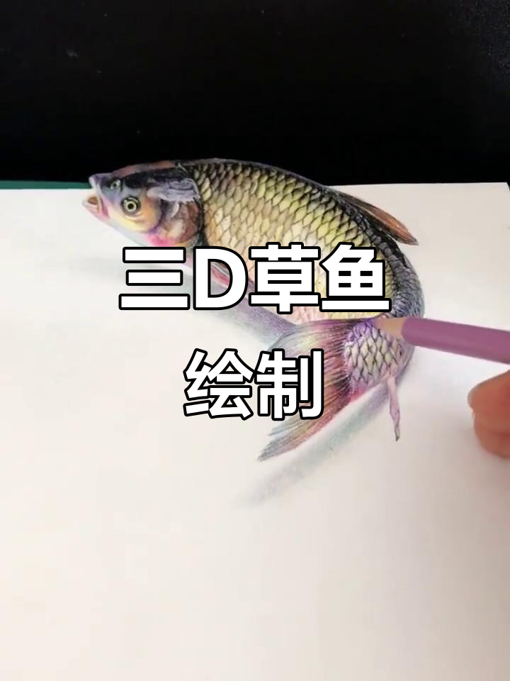 画条草鱼，挑战三D立体效果！