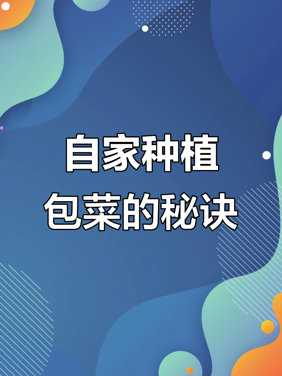 家庭阳台种包菜，简单又有趣！从育苗到收获全攻略