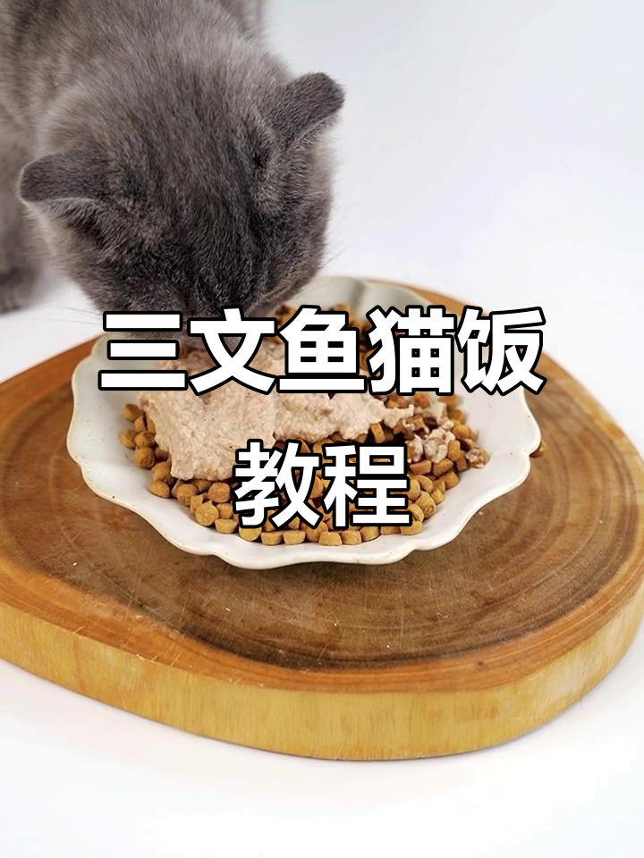 用三文鱼边角料做猫饭,既美味又营养,简单易学!