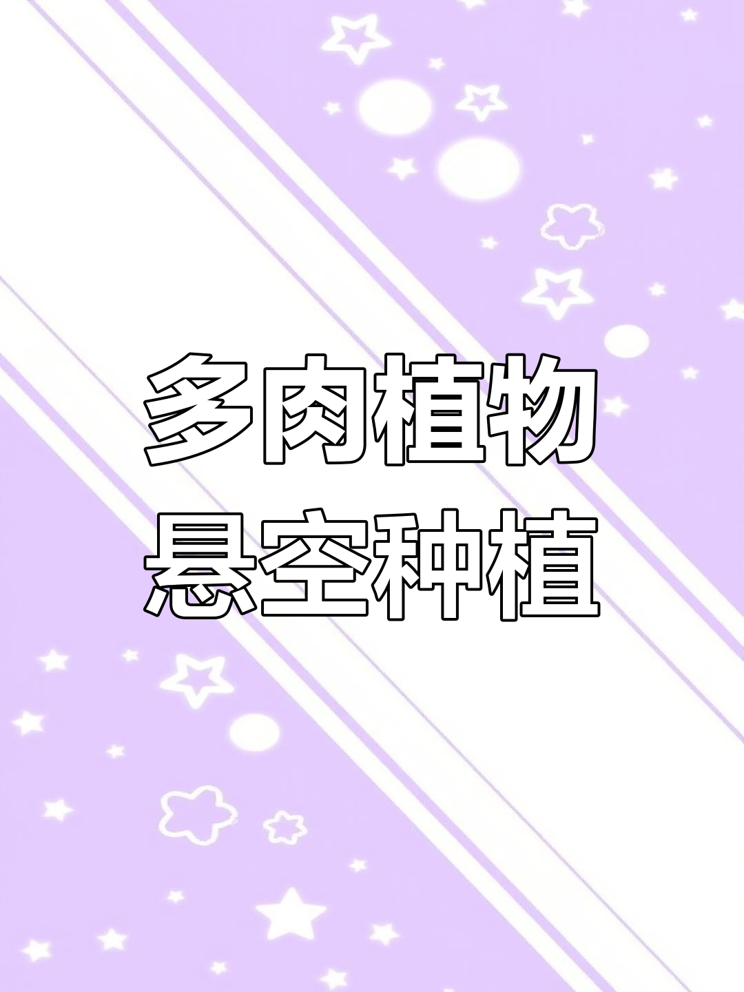 2024年10月20日,胖美人多肉新造型木桩吊挂技巧
