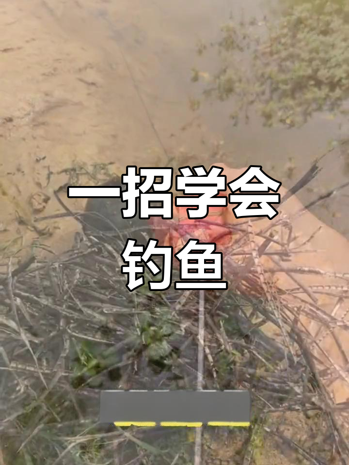 轻松钓甲鱼,掌握这个技巧