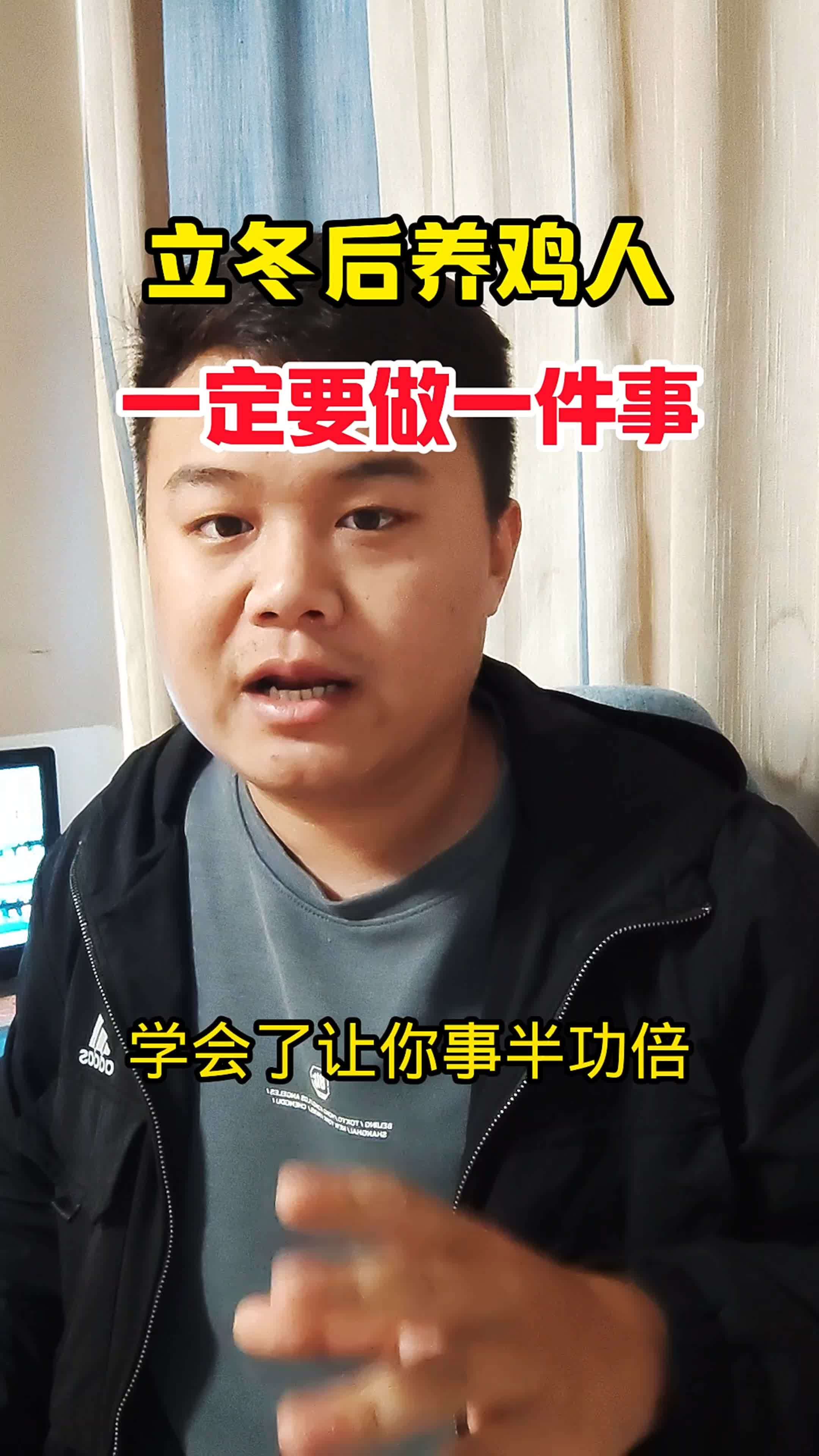 生态散养土鸡 养鸡 农村散养土鸡 林下生态散养鸡 养鸡技术