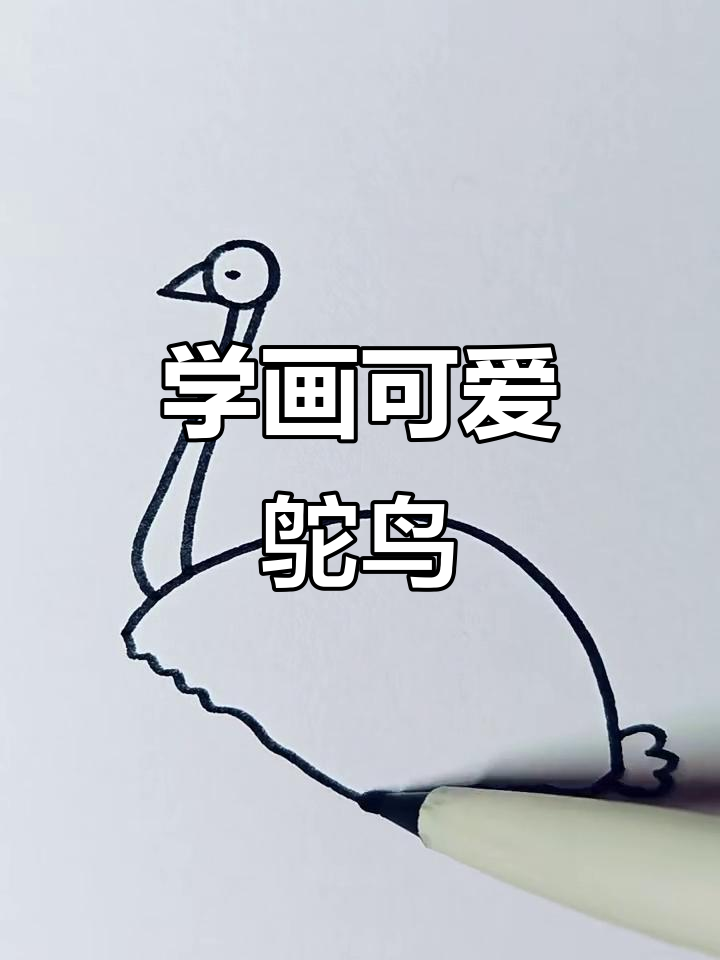 鸵鸟简笔画,轻松学会!