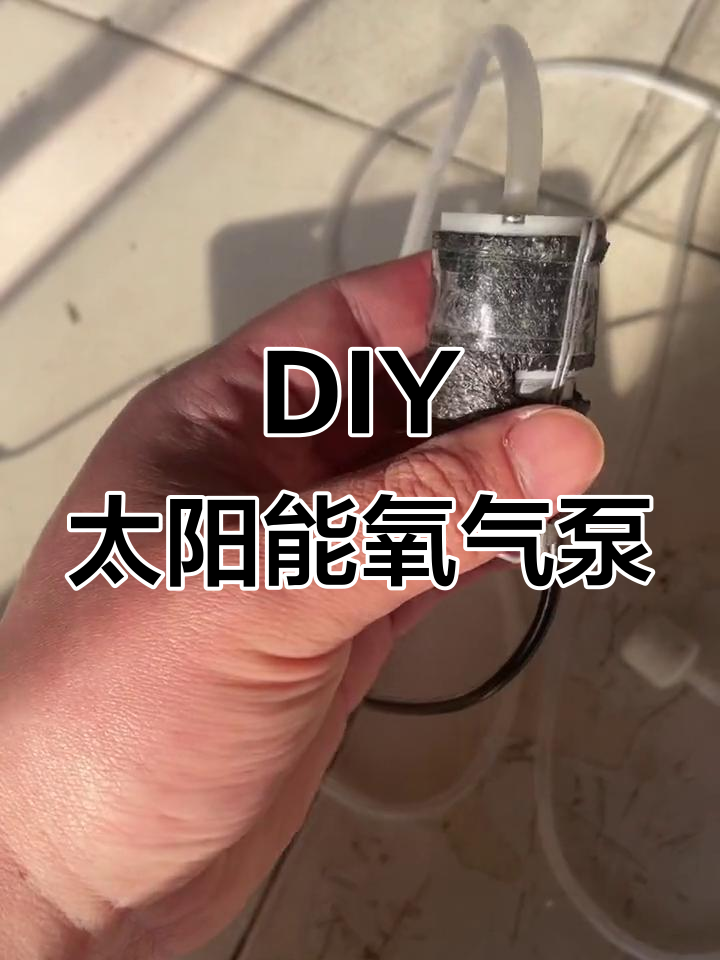 太阳能氧气泵DIY,室外养鱼必备神器