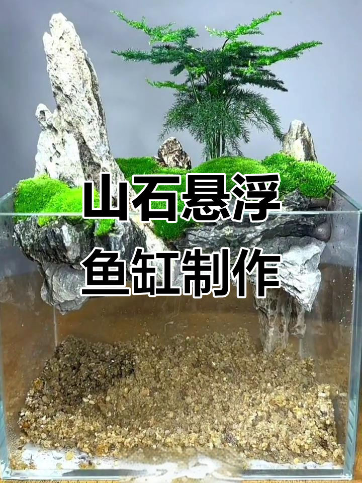 打造悬空鱼缸,青龙石与苔藓的完美结合