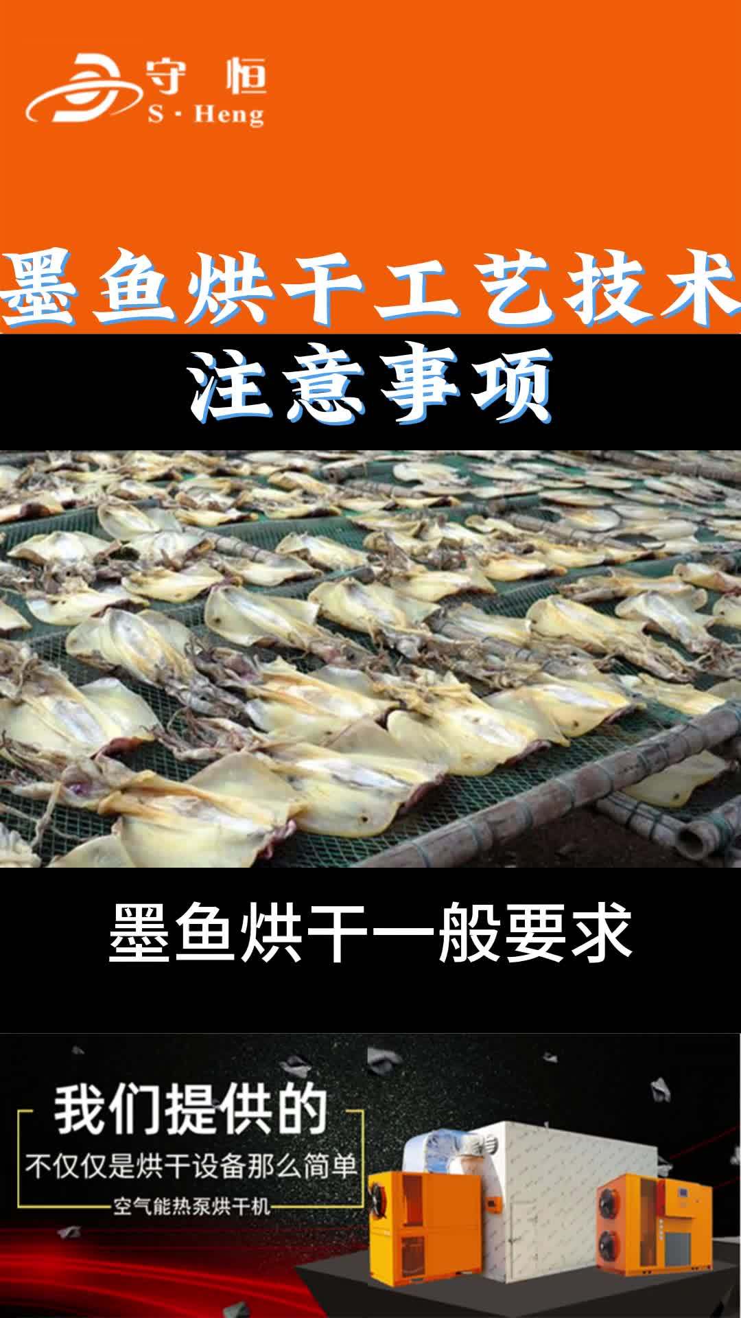 墨鱼烘干机,海产品墨鱼大风量快速烘干设备 墨鱼烘干机海 墨鱼烘干 海产品烘干机 快速烘干设