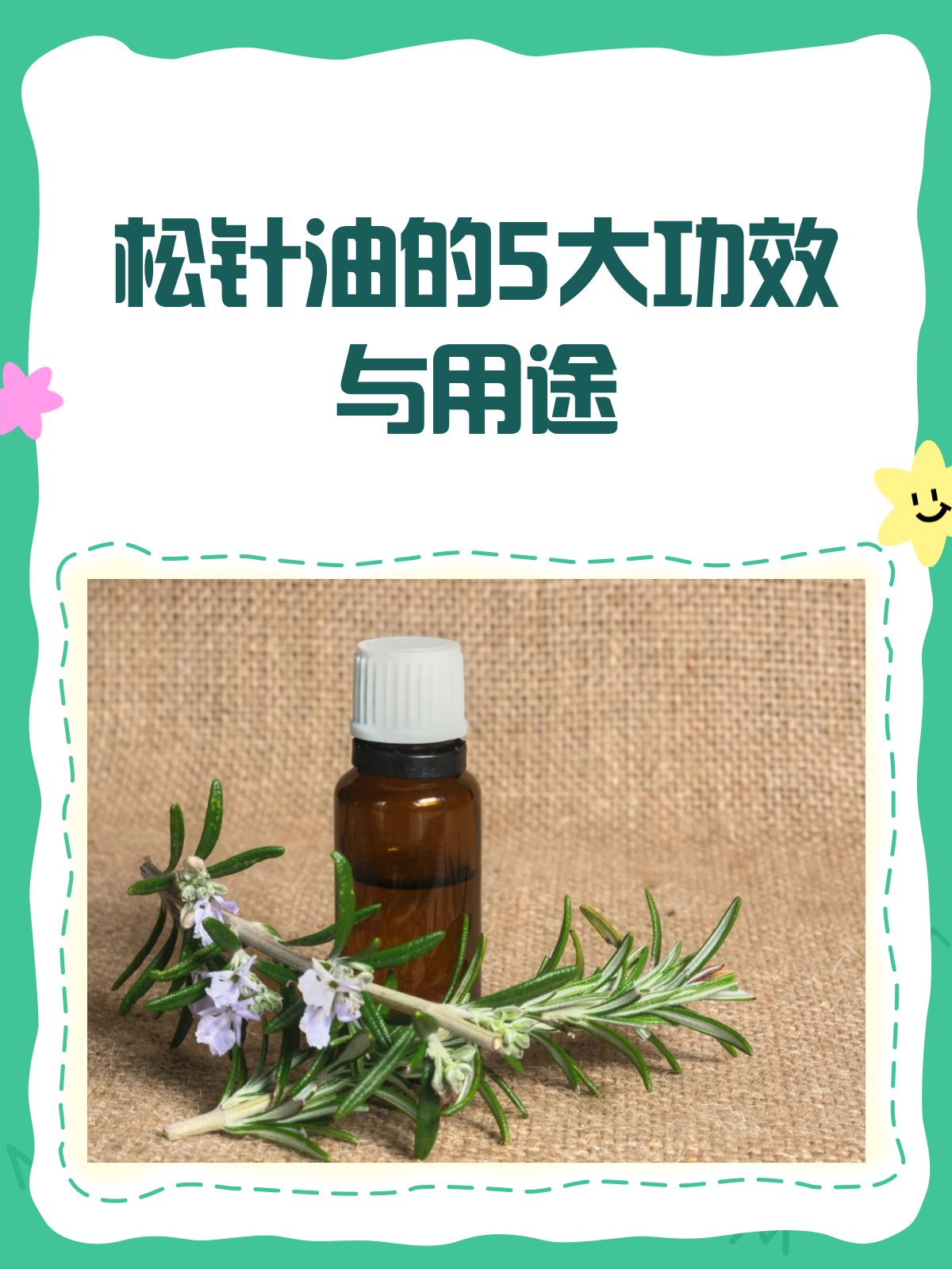 松针油,你不可不知的天然养生宝藏!