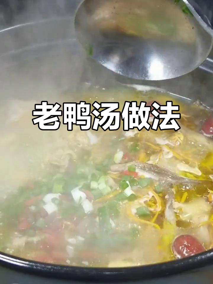 农家土鸭炖汤，肉质鲜嫩不油腻，营养满满
