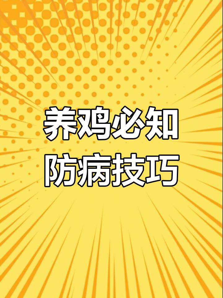 土鸡养殖技术:如何应对败血型大肠杆菌引发的腹膜炎和心包炎