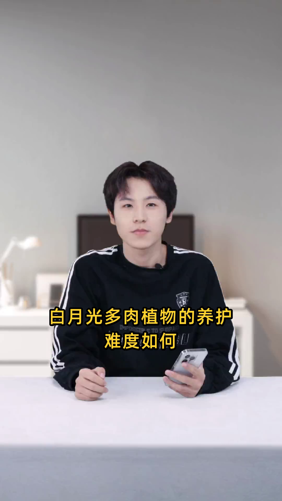 白月光多肉植物的养护难易程度如何,是否容易成活?