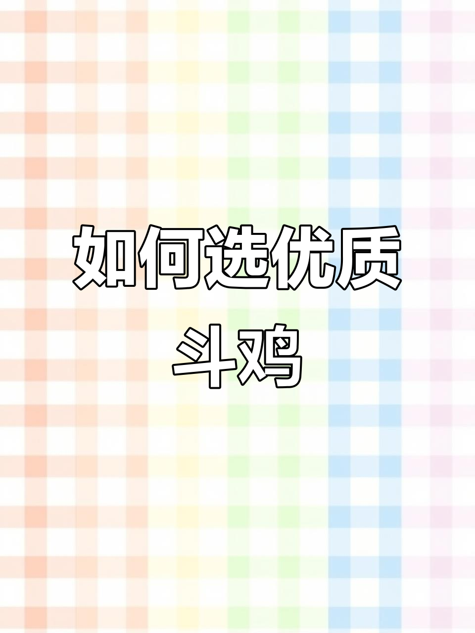 斗鸡鳞片与腿型分析:如何挑选优质越南斗鸡