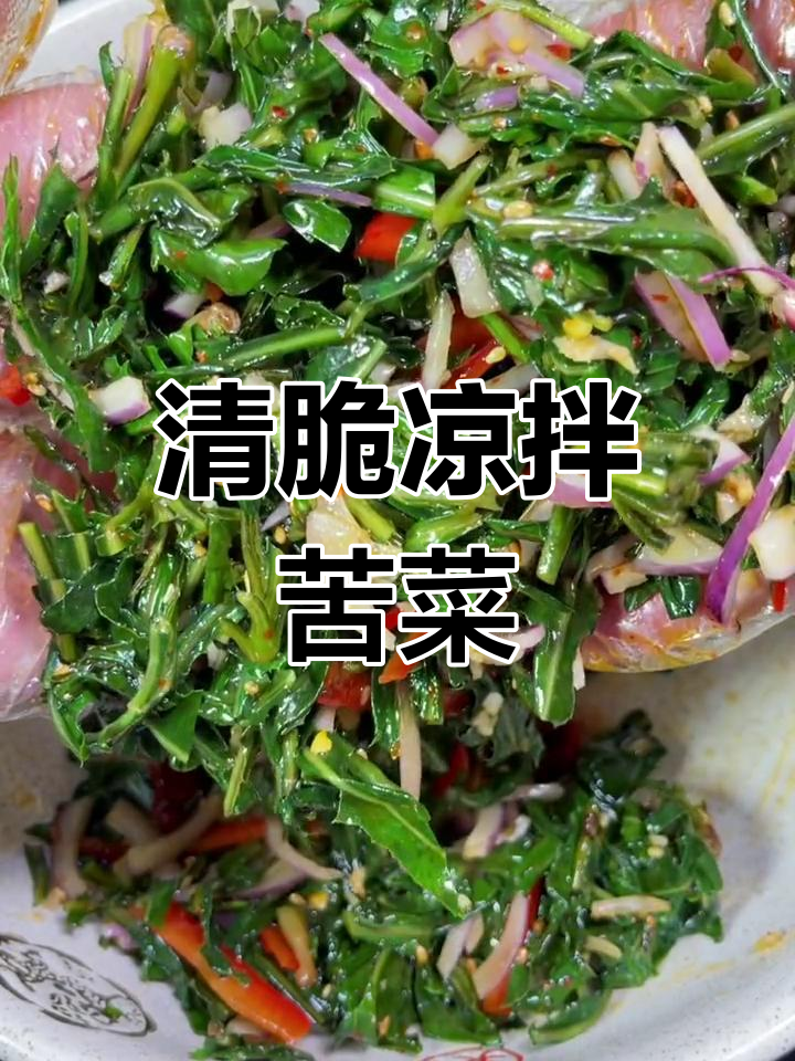 陕北山梁上的美味苦菜,清脆爽口做法大公开