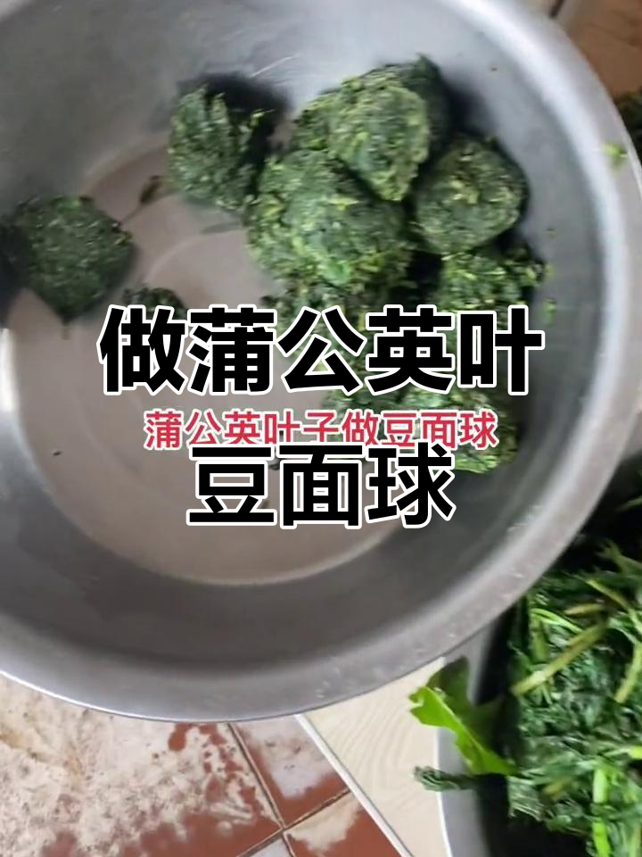 妈妈做蒲公英叶子豆面球,洗菜超费时
