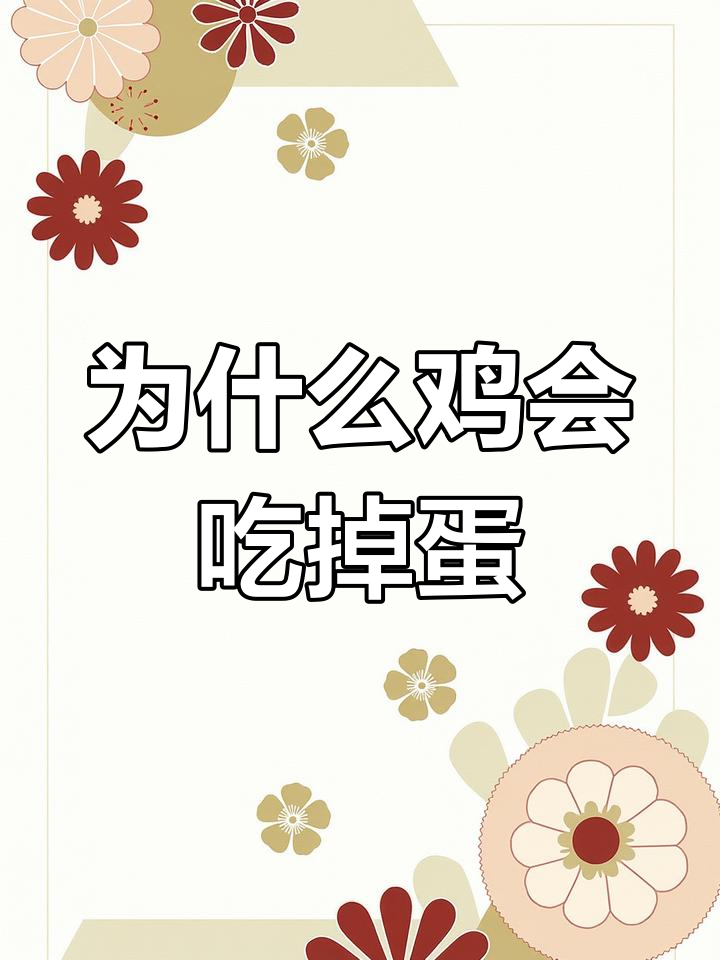 母鸡吃鸡蛋?原来是缺钙磷惹的祸