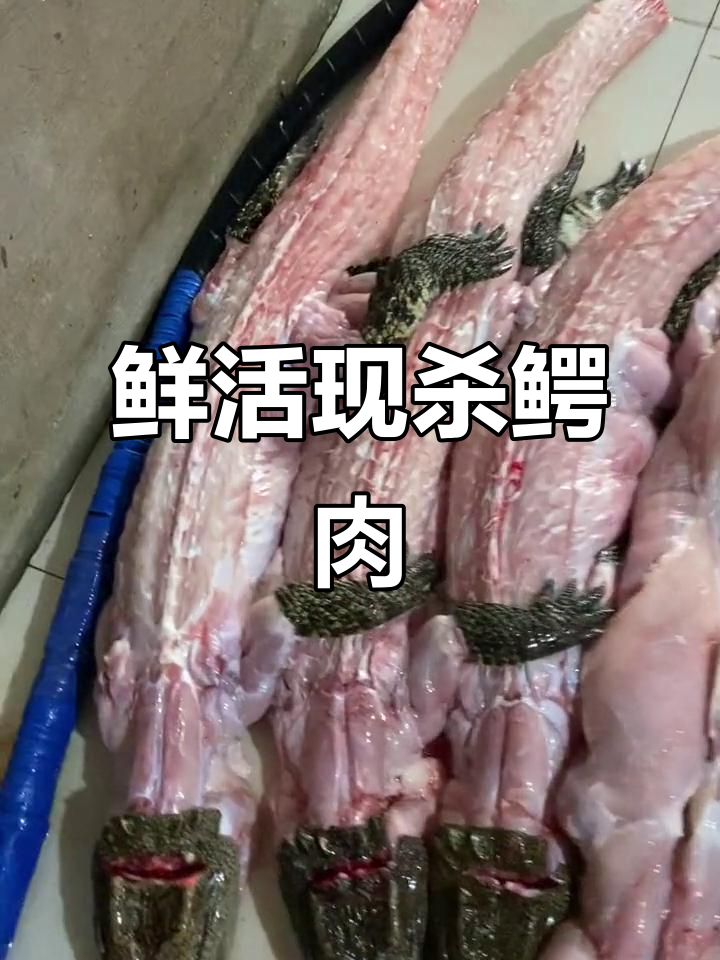 现杀鳄鱼,新鲜剥皮,高端食材直供全国