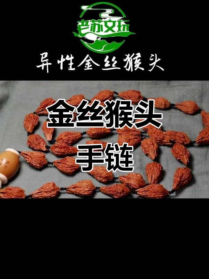 异性金丝猴头长串,盘玩乐趣多