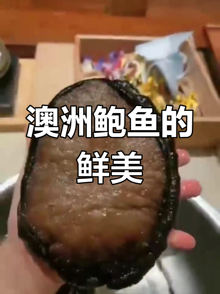 澳洲鲍鱼的特点与美味