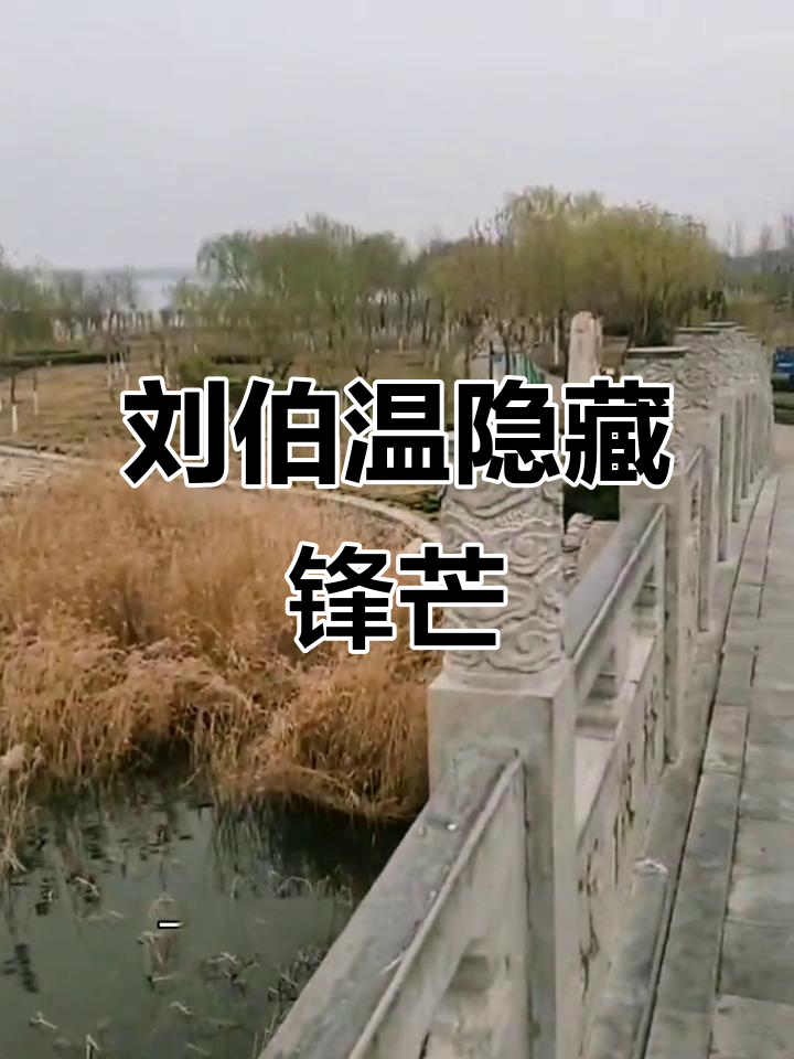 刘伯温与徐纺:低调谋臣的隐秘锋芒