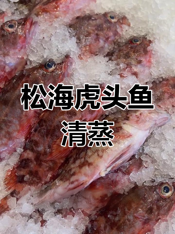 清蒸东海虎头鱼,鲜嫩细腻的绝佳烹饪方式